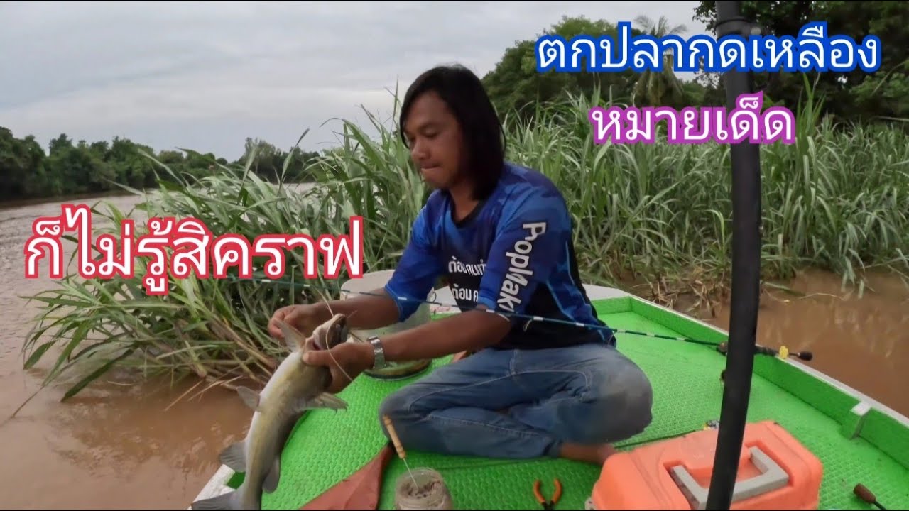 ตกปลากดด้วยเหยื่อเด็ดกับหมายเด็ดกับเรือหมานไม่ผิดหวังที่ปัจจัย3อย่างมาด้วยกัน / ต้อม คนทำมาหากิน