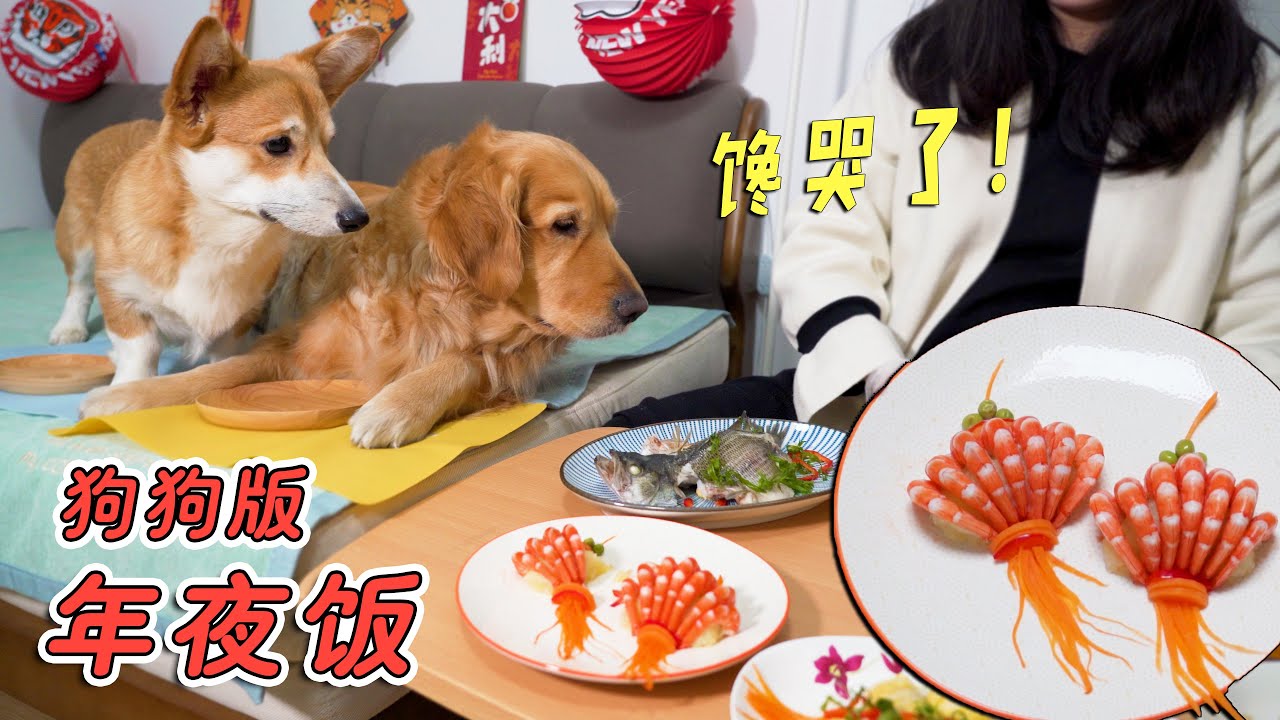 狗狗也吃年夜饭？这一桌美食能把人馋哭！