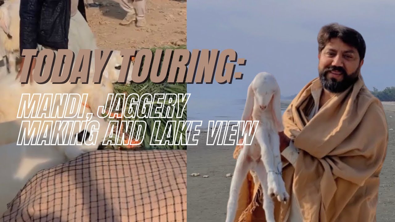 MANDI VISIT & DESI JAGGERY MAKING 🍯🔥 | FROM SUGARCANE TO GURR 🌾 | LAKE VIEW VLOG 🌊😍