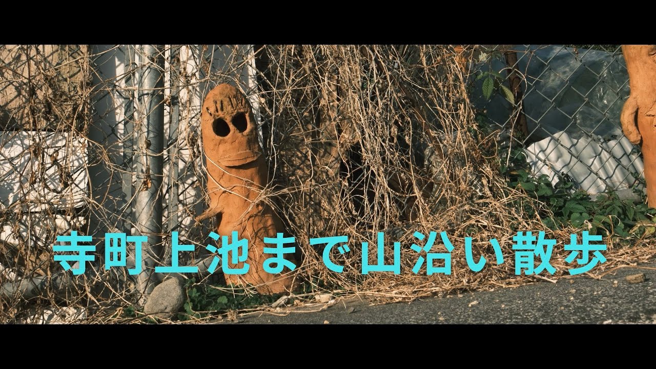寺町上池を目指して山田池から山沿いの道を散歩しました（愛媛県松山市南久米〜鷹子）