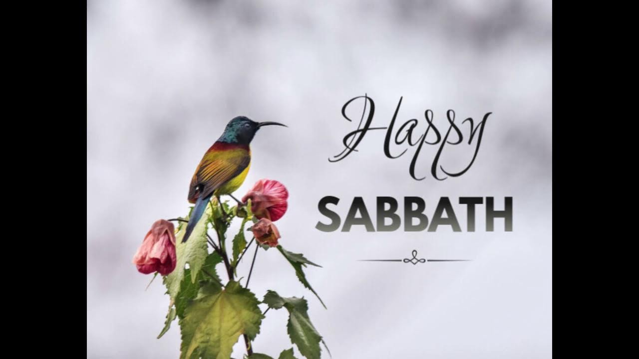 Mount Pisgah SDA | Sabbath Lesson Study #10 Let God Fight For you
