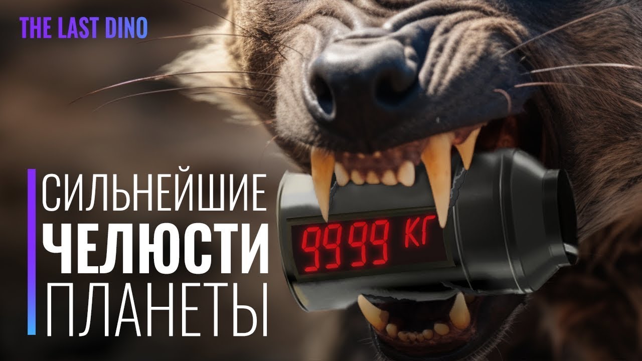 У кого Самый МОЩНЫЙ Укус за всю историю Планеты