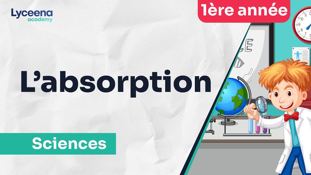 QCM absorption - 1ére année - SVT