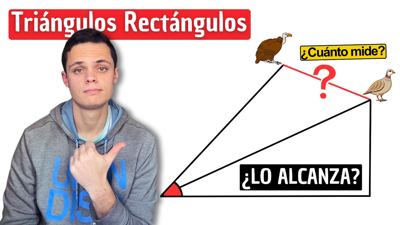 Cálculo de Distancias con TRIÁNGULOS RECTÁNGULOS | Trigonometría
