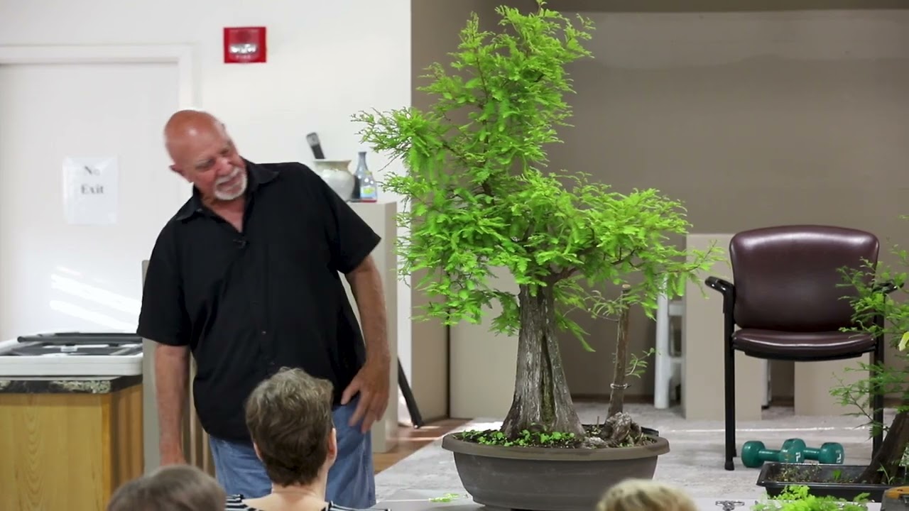 SABS Guest Artist: Randy Bennett - Bald Cypress