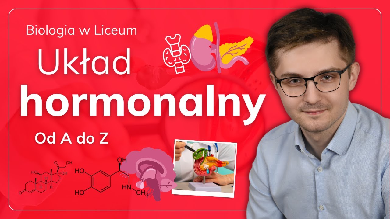 Układ hormonalny od A do Z