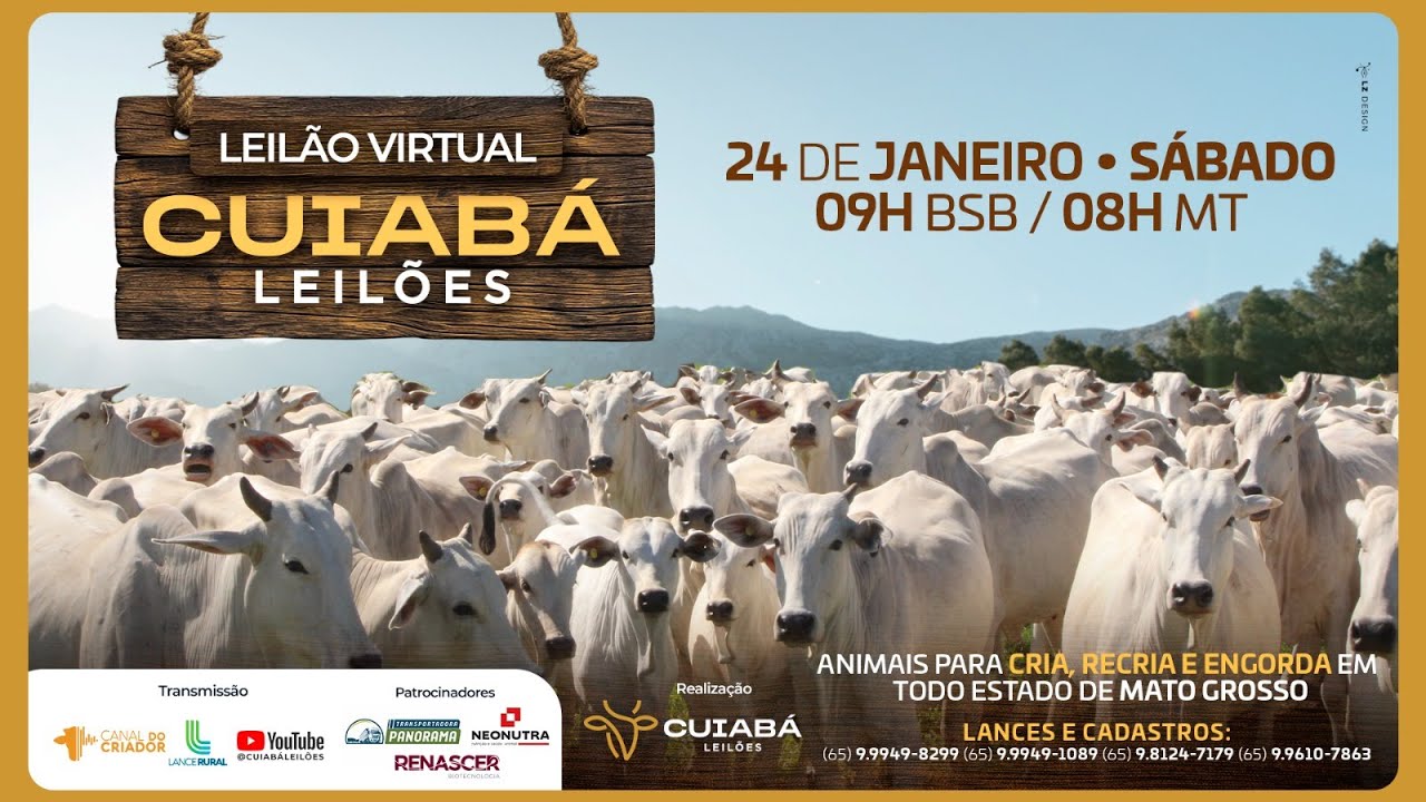 116° LEILÃO VIRTUAL CUIABÁ LEILÕES 24-01-2026.