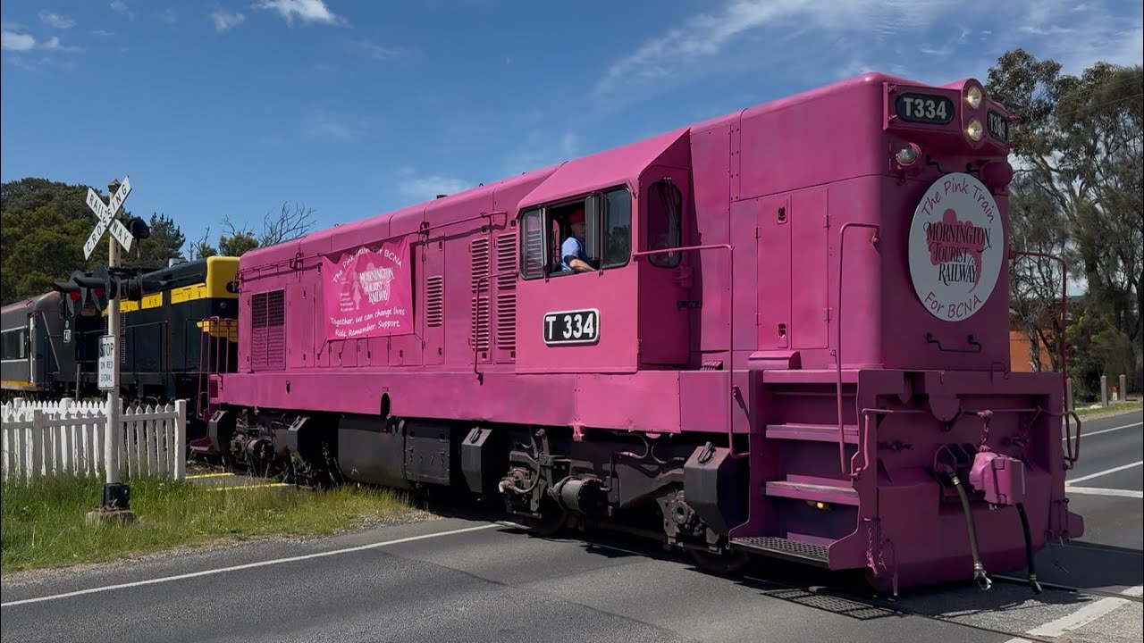 The Pink Train for BCNA | T334 & T411 Charity Charter | Mornington Tourist Railway #OzRide Livery