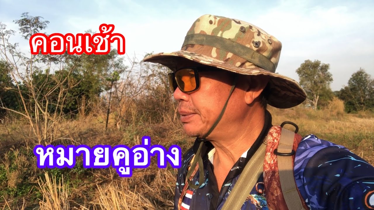 นกป่าเหนียวหรือมันสู้บ่100%#ต่อนกเขาใหญ่สายเพนียด 