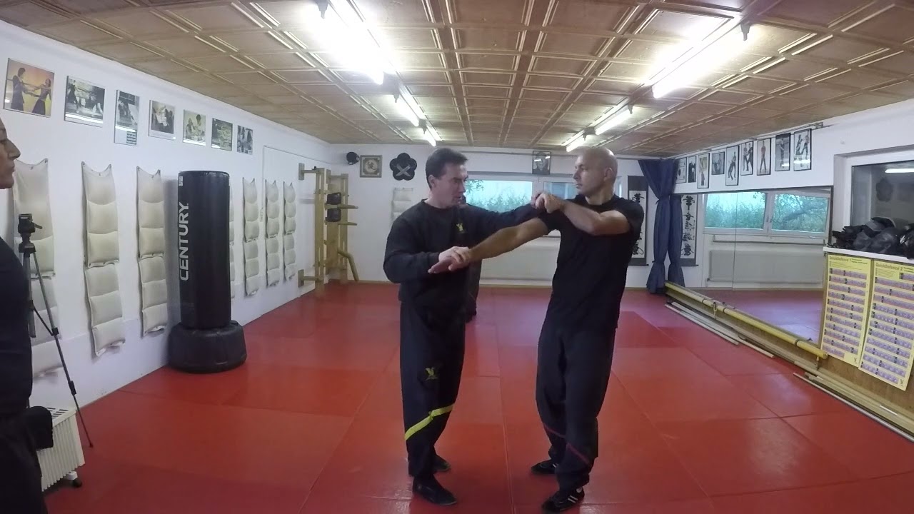 DRAGOS WING TSUN TRAININGS-SESSION Vol 2  - Sifu Martin Dragos