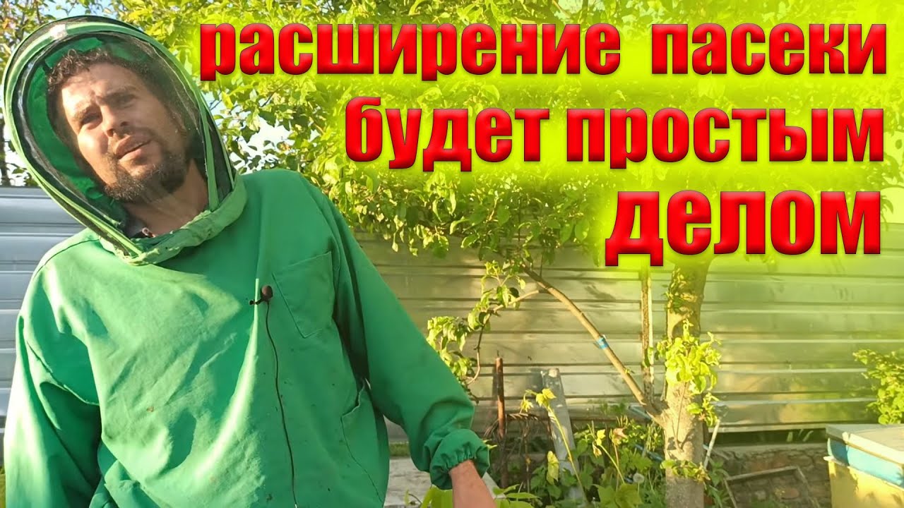 Это вам не расскажет не один опытный пчеловод. Быстрое расширение пасеки, отводками пчел