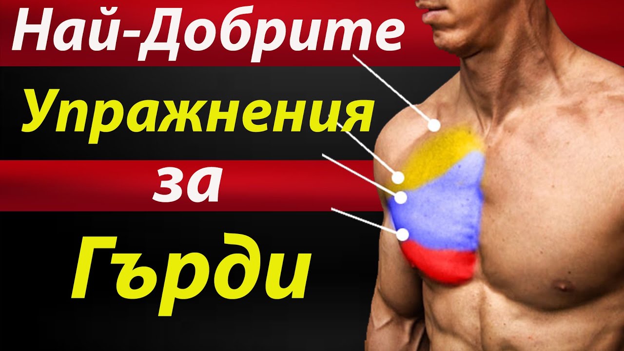 НАЙ-ДОБРИТЕ УПРАЖНЕНИЯ ЗА ГЪРДИ  ( Развий Гърдите Си )
