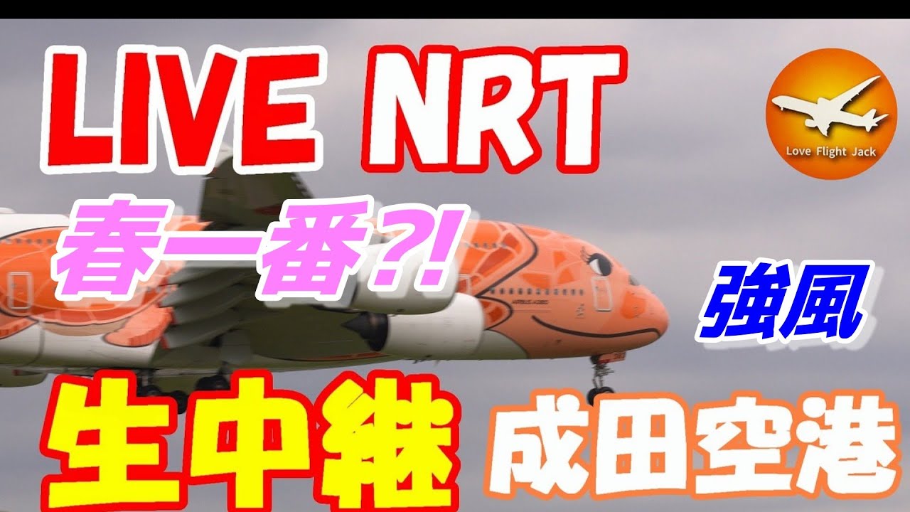 🔴LIVE at NARITA International Airport Plane Spotting　2026.02.23 成田空港ライブカメラ 成田空港　NRT/RJAA