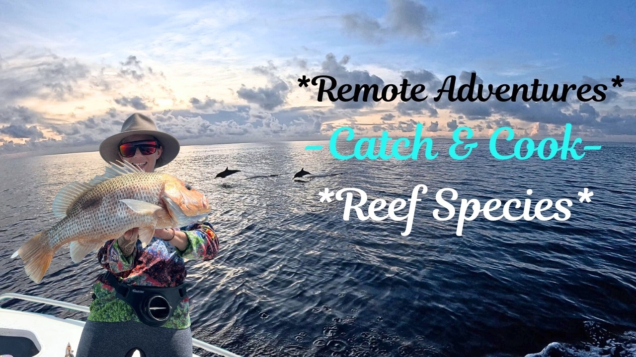 CATCH AND COOK - Reef Species- WET SEASON FISHING!!!!
