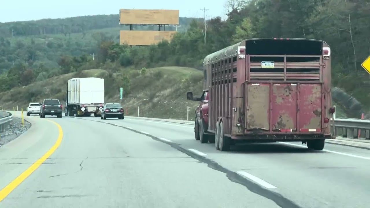 Must Watch: I know my heart will never be the same after this …