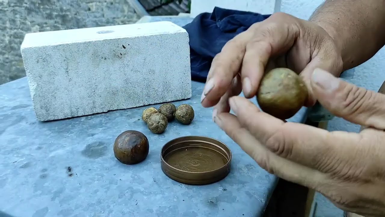 Propolis Ernte einfachste Methode