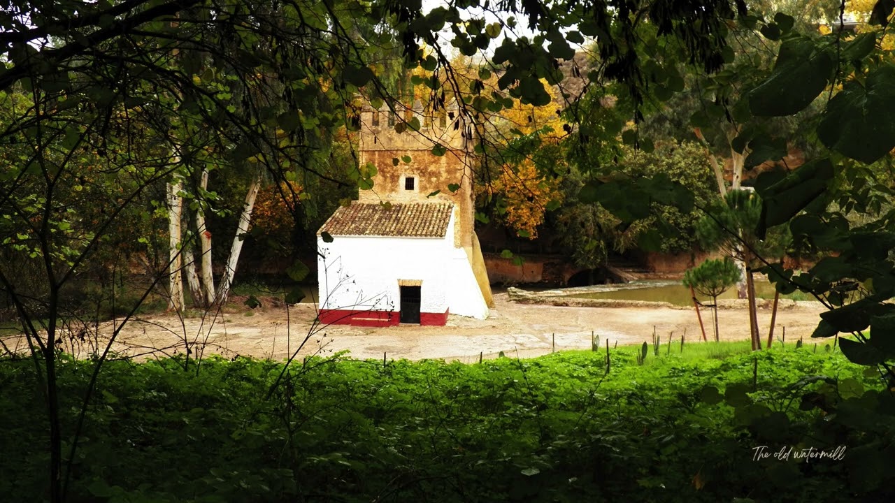 The old watermill