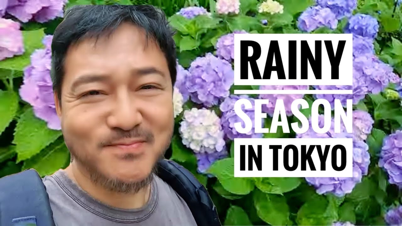 Exploring the Hakusan Temple: A Rainy Season Retreat with Hydrangeas