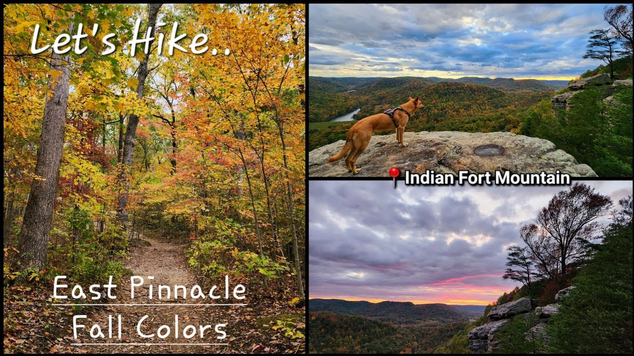 East Pinnacle Fall Colors - Indian Fort Mountain - The Pinnacles - Kentucky - 10/20/23