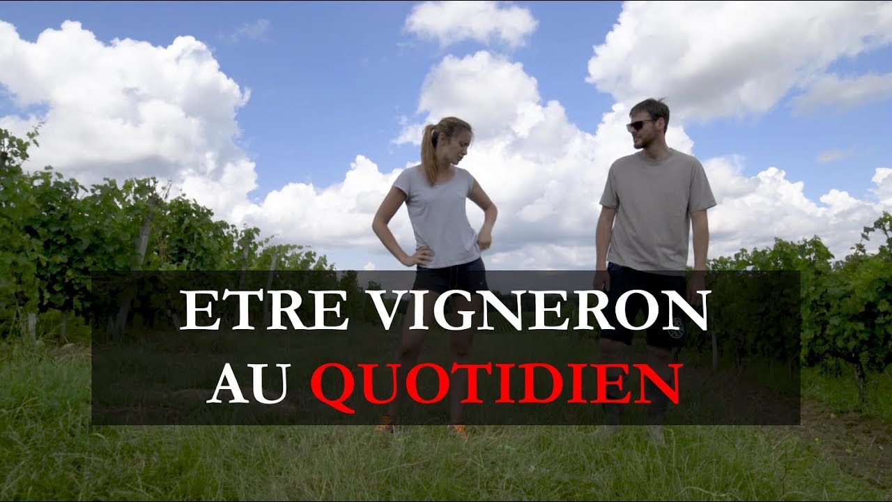 ÊTRE VIGNERON AU QUOTIDIEN // BEING A WINEMAKER, DAY-TO-DAY