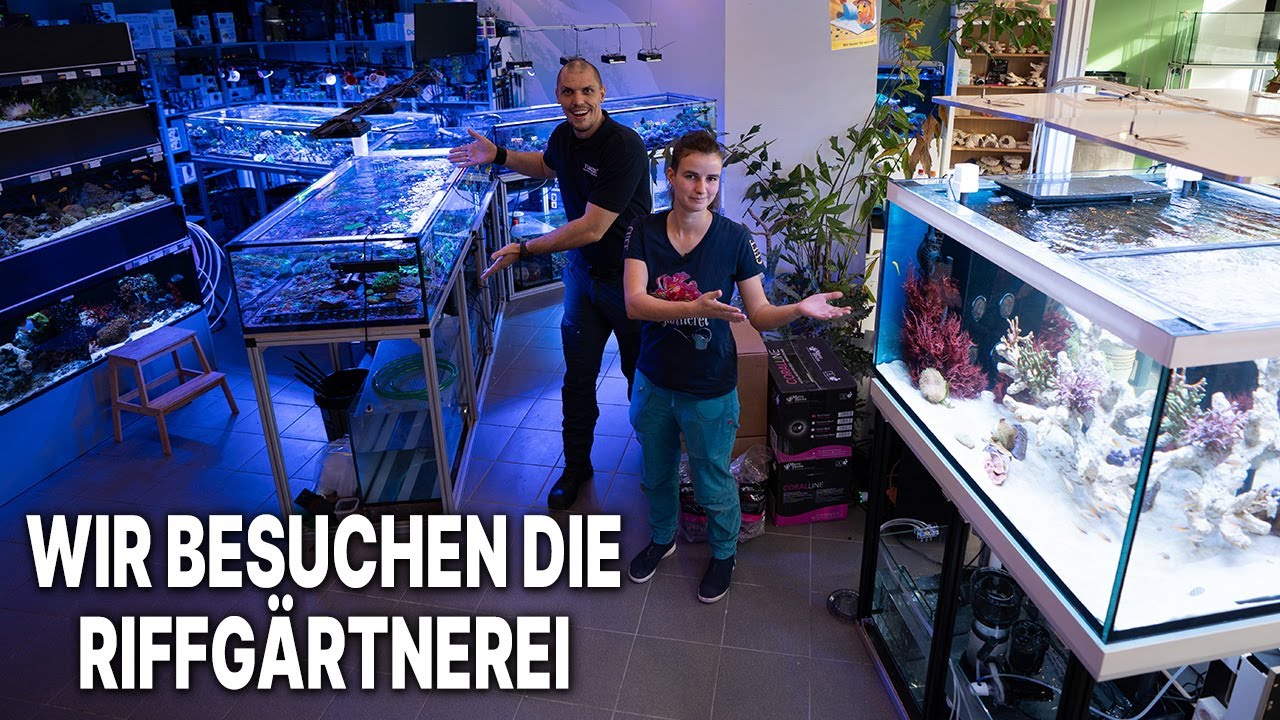 Wir schauen uns Noras Riffgärtnerei in München an! - Was gibt es zu entdecken?