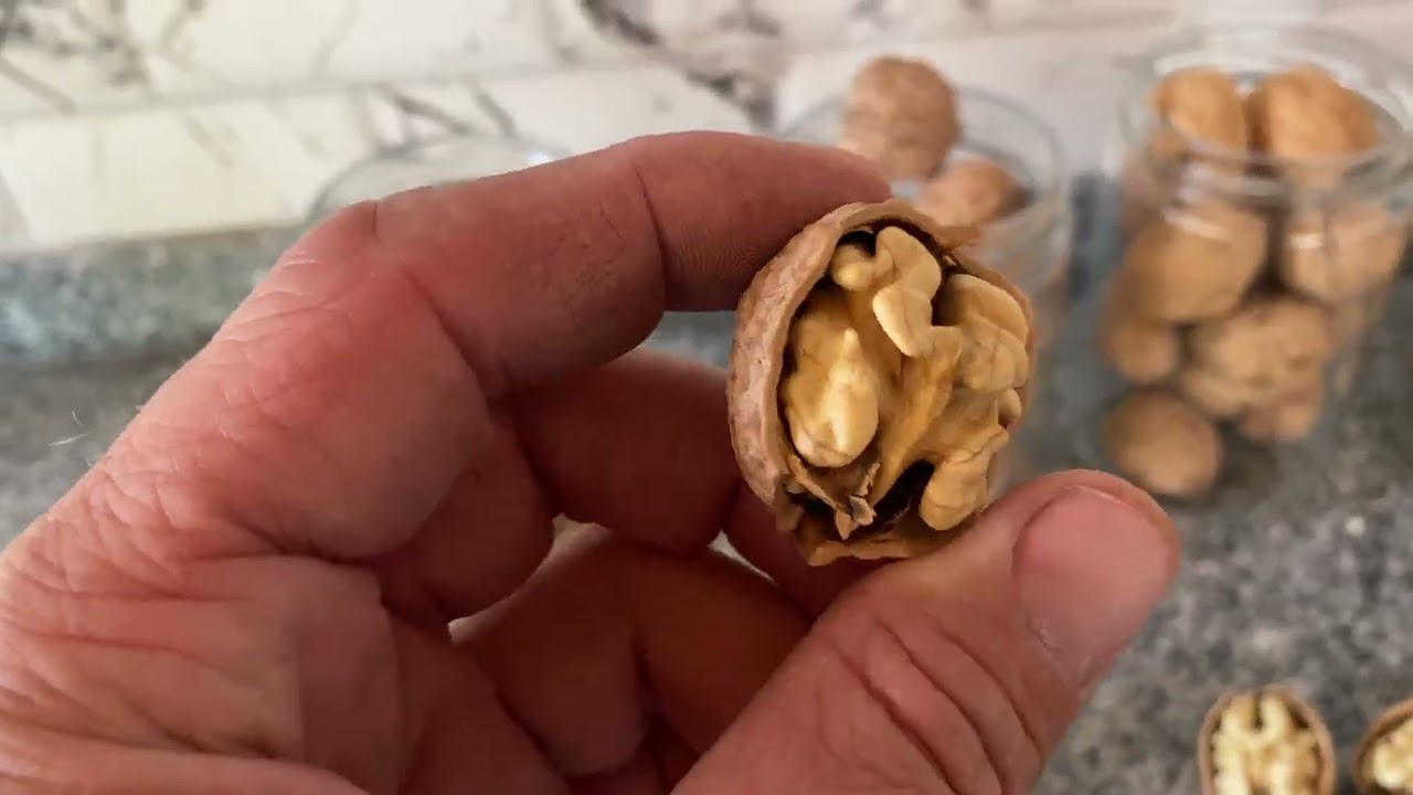 Ceviz Çeşitleri