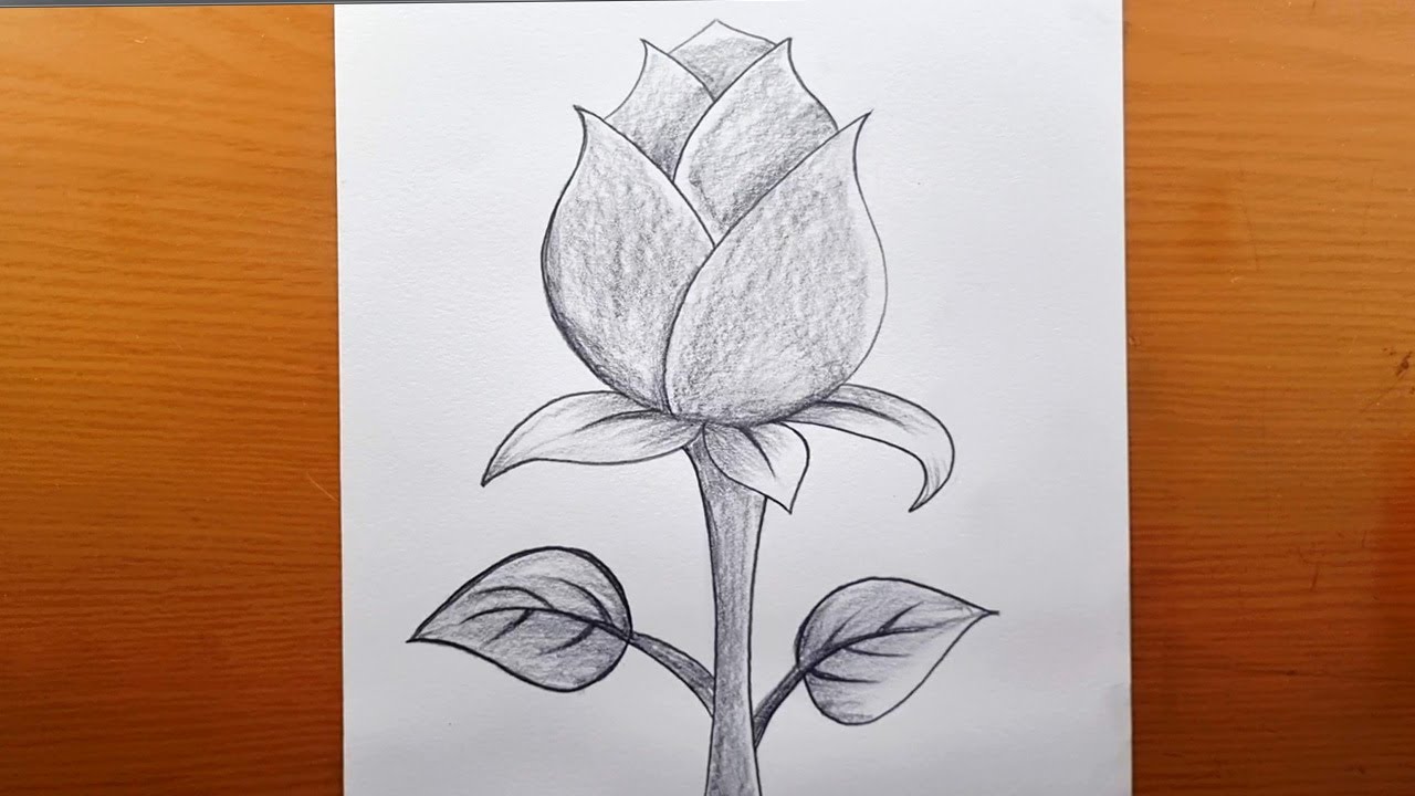 Come disegnare facilmente una rosa con il carboncino - disegnare un fiore semplice