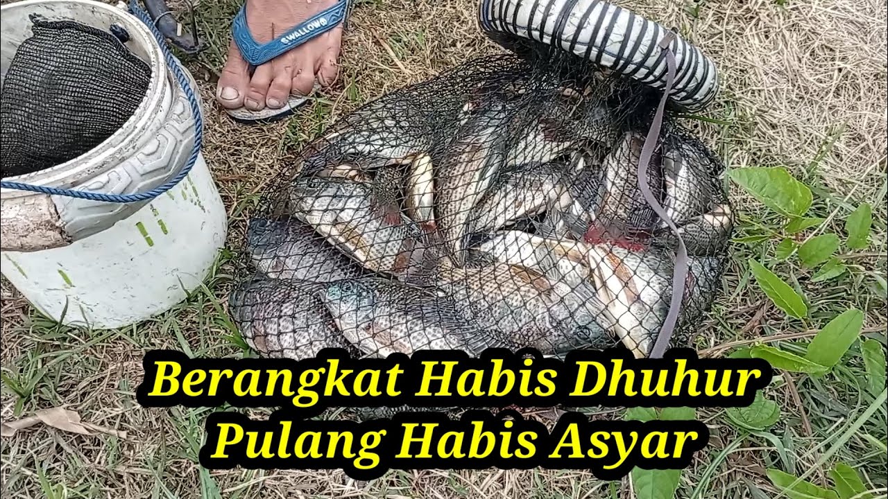 Cukup Dua Jam Saja #mancingnyobok #mancingliar #umpanlumut #patil87 