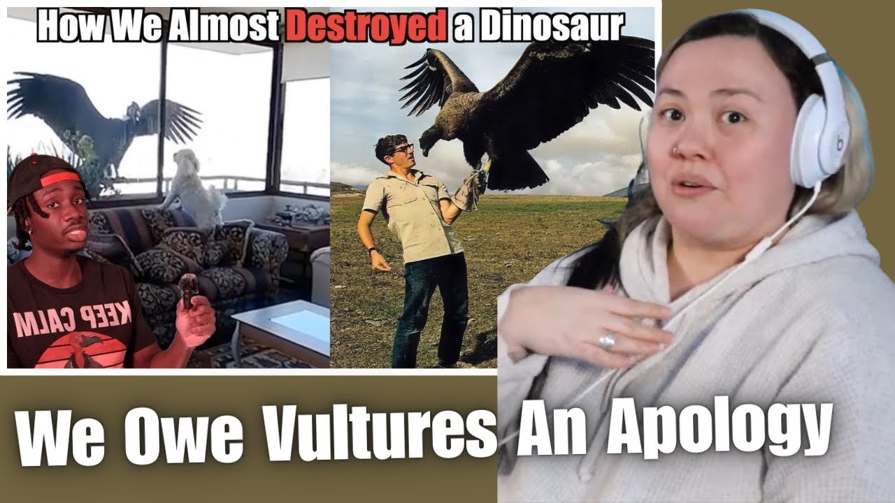 OtakuCouple Reacts: Why We Owe a Vulture on Steroids an Apology (Casual Geographic)