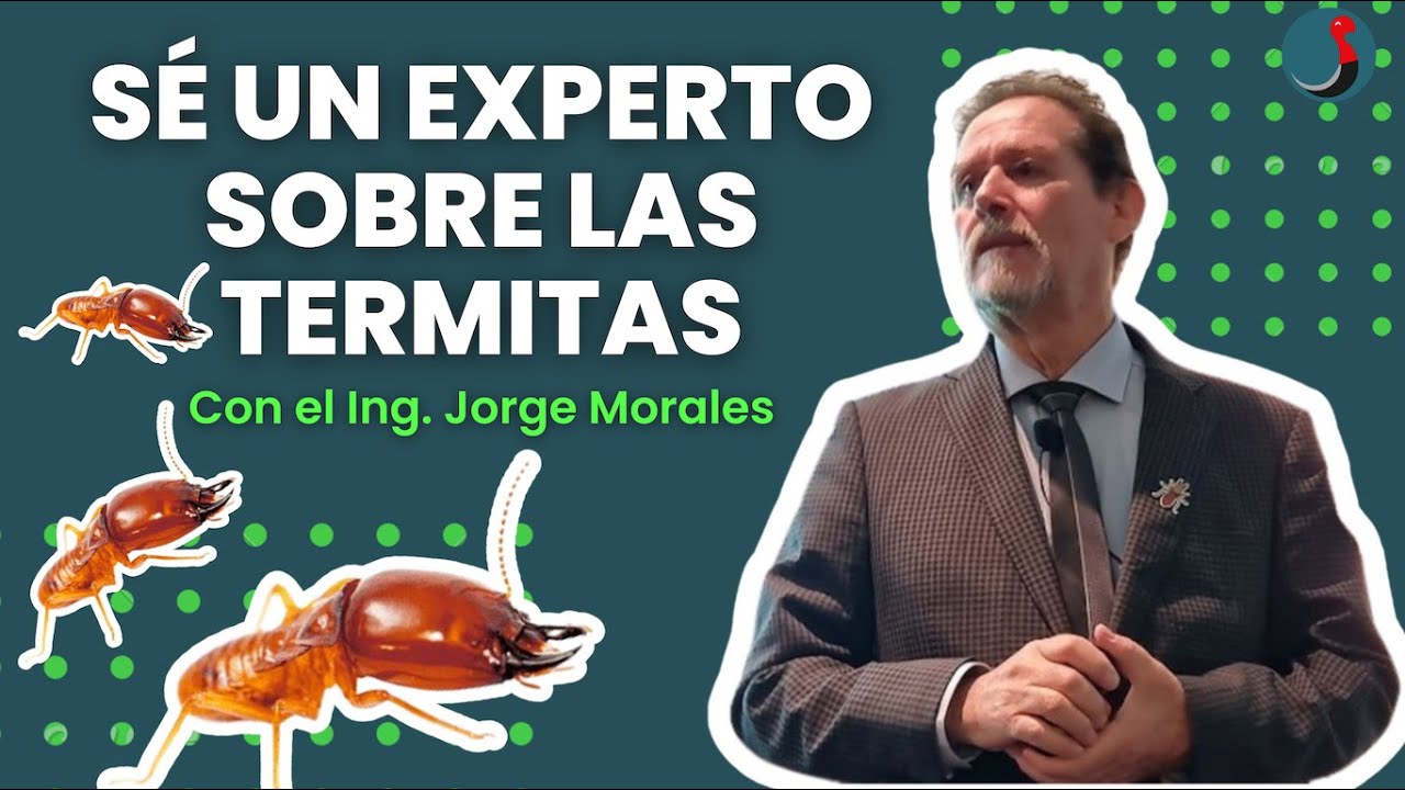 Clínica de Termitas - Jorge Morales Valencia| RupiConversatorio