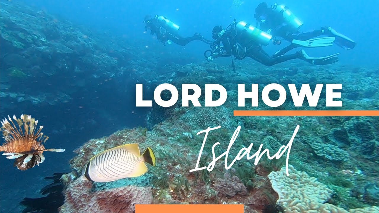 Sailing Lord Howe Island above and below the water Adventure 121