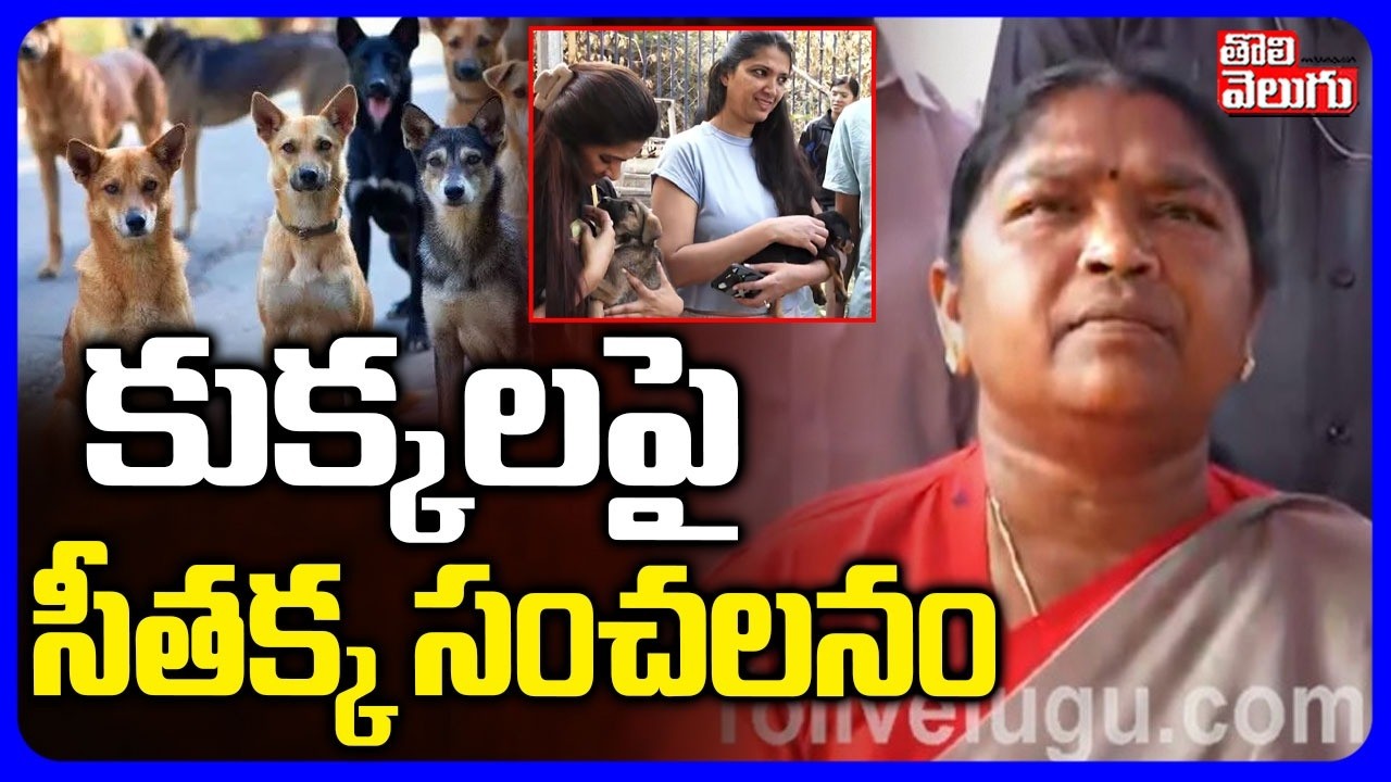 Minister Konda Surekha About Dogs |  కుక్కలపై సీతక్క సంచలనం | Tolivelugu