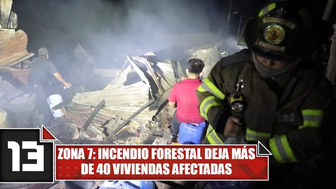 Zona 7: Incendio forestal deja más de 40 viviendas afectadas