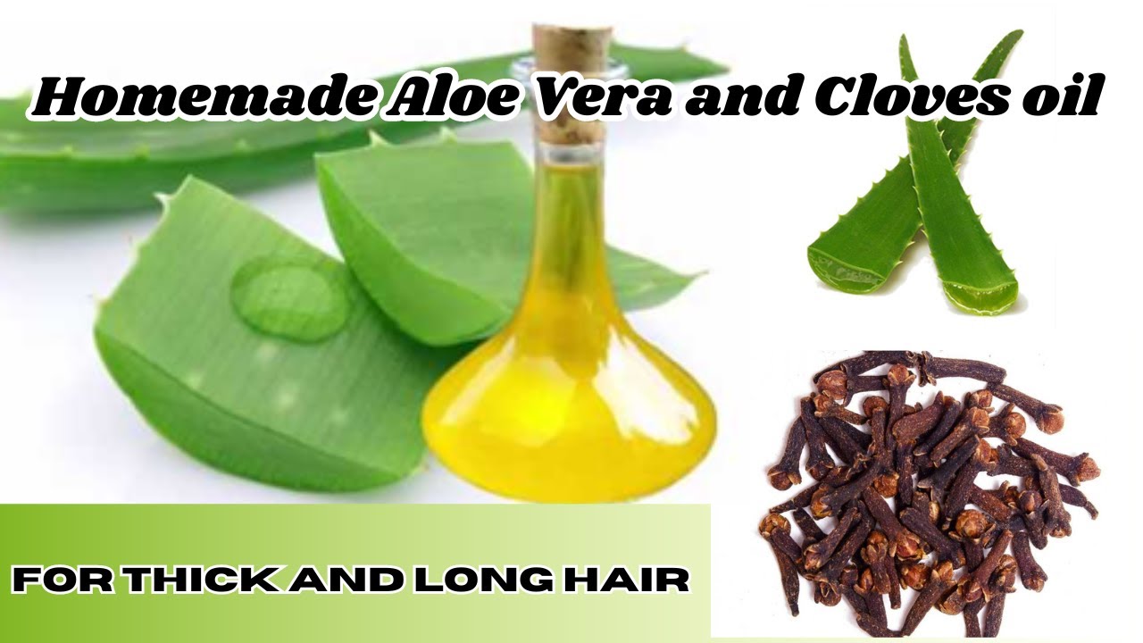 How to make Aloe Vera & Cloves oil for hair growth |hair loss remedy #aloevera (@geneshomestead )