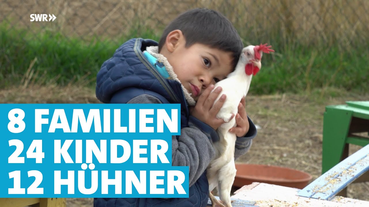 Warum acht Familien mit 24 Kindern zwölf Hühner halten