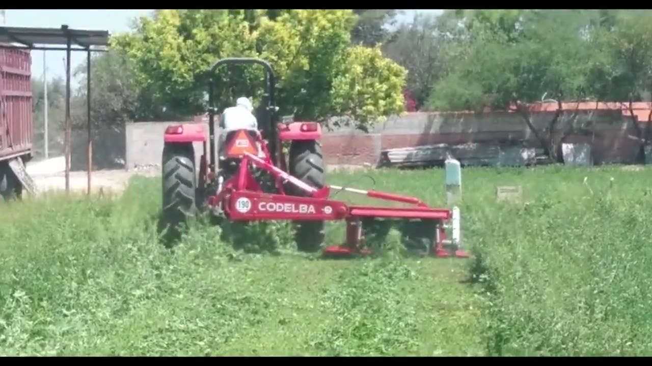 Segadora de tambor con deshidratador CODELBA