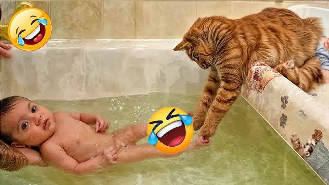 You Laugh You Lose😹🐕Funniest Dogs and Cats 2024😻🐶