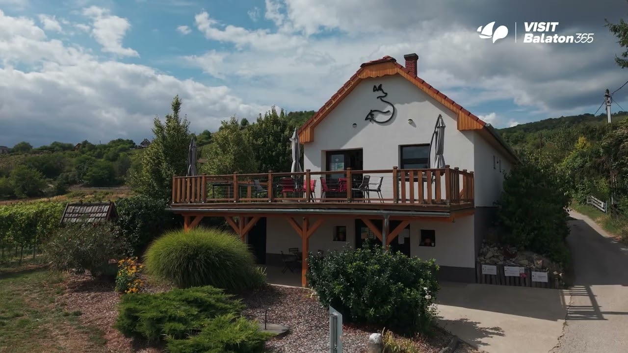Sarki Róka Borház - Rövid bemutatkozás