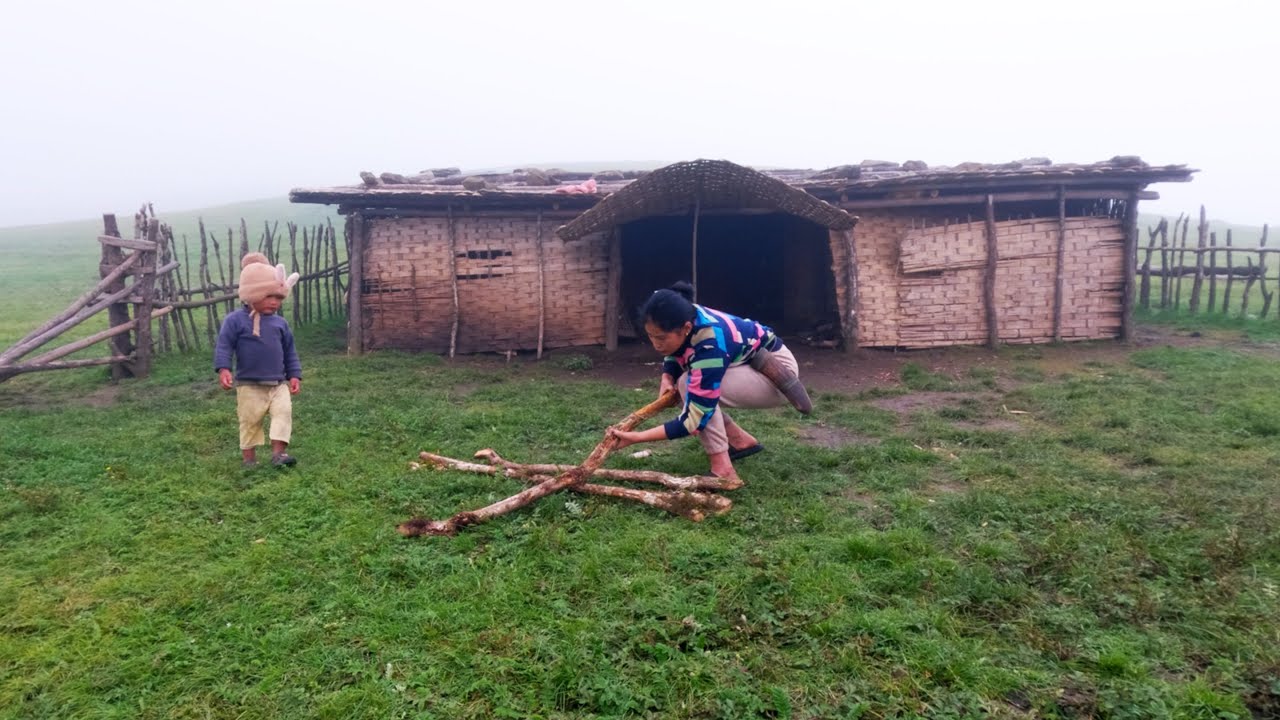 The lifestyle of transhumant herders in the Nepalese mountains || Manjita's family ||