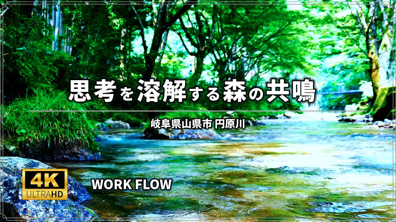 【集中・作業用BGM 3時間】時がとける没入感｜円原川、湧水せせらぎと蝉の声 ASMR｜Nature Sounds