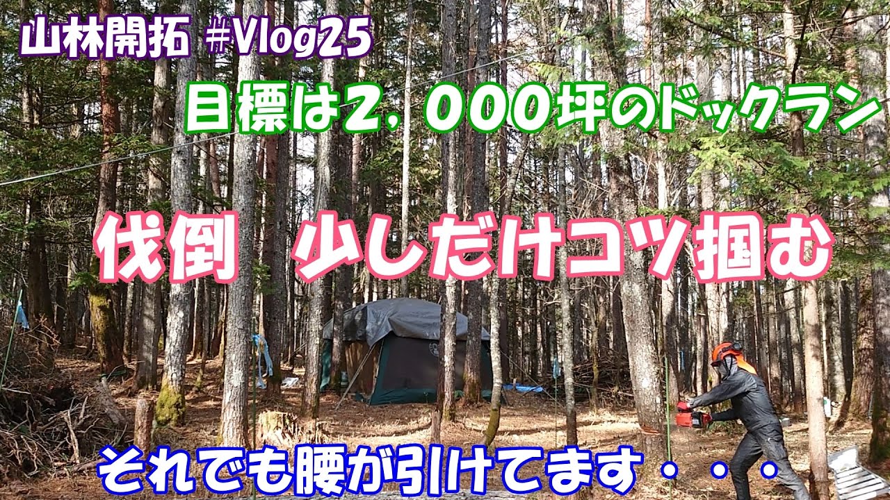 【山林開拓】＃Vlog.25　素人の樹木伐採！上達しません・・・