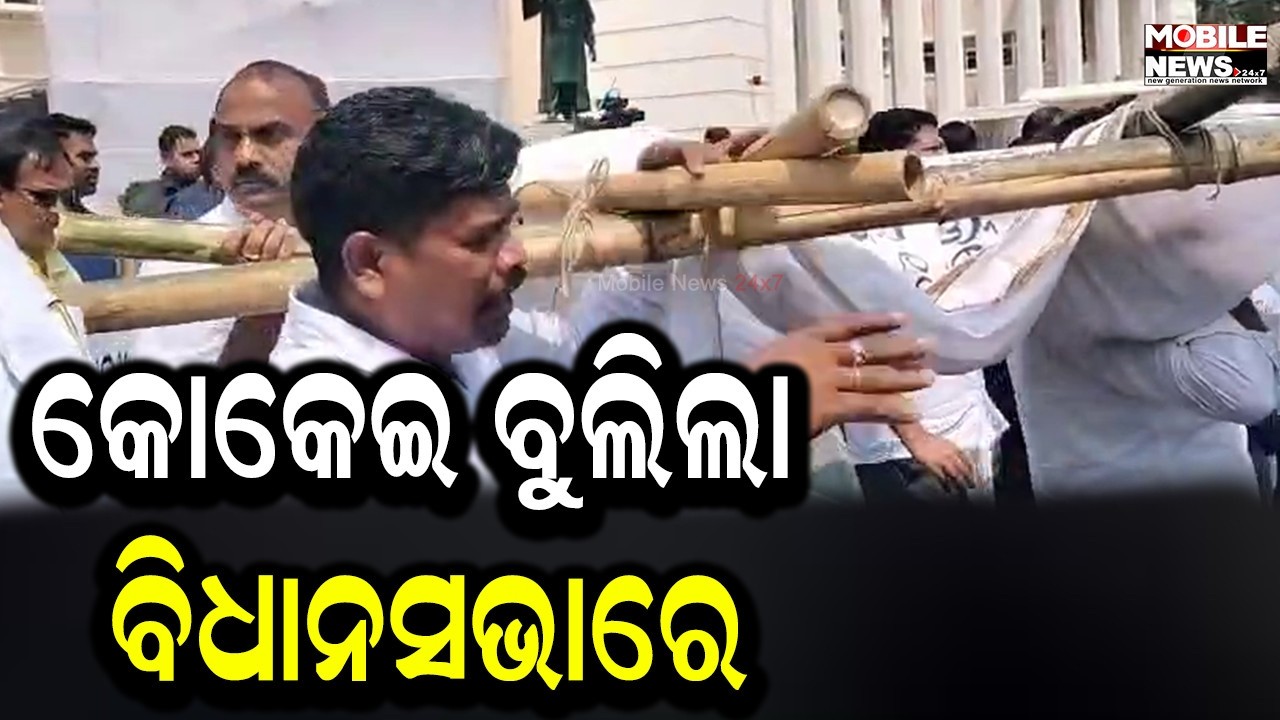 ଏସସିବି ଅଗ୍ନିକାଣ୍ଡ ଘଟଣା, ସ୍ବାସ୍ଥ୍ୟମନ୍ତ୍ରୀଙ୍କ ଇସ୍ତଫା ଦାବିରେ ବିଜେଡି କଂଗ୍ରେସର କୋକେଇ ପ୍ରତିବାଦ
