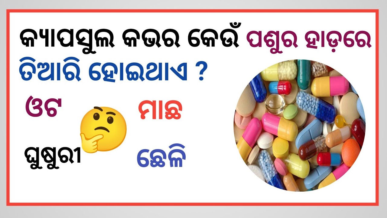 Gk quiz question 👍//odia Gk question//Gk question and answer//general knowledge question //odia Gk,