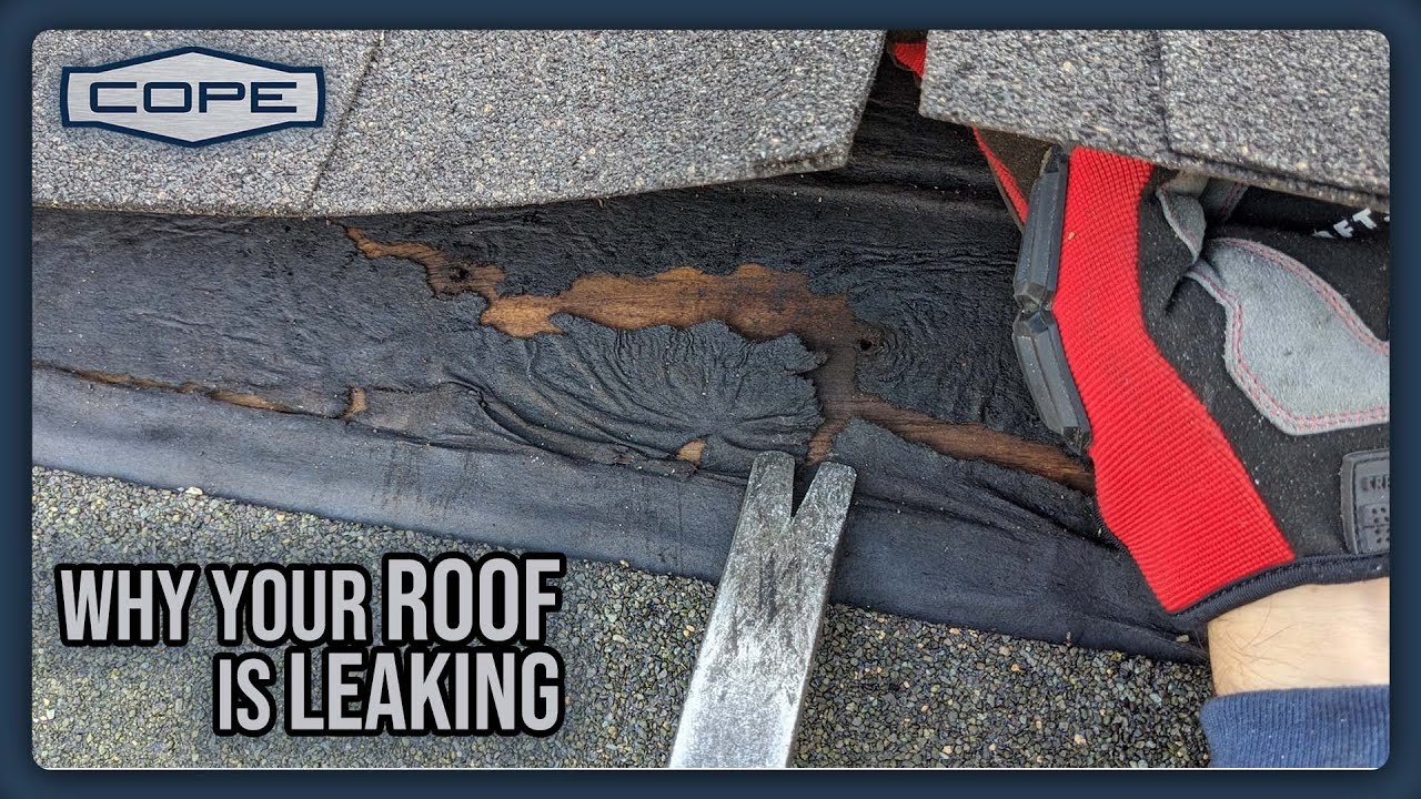 Why is my roof leaking?! - Common Roofing Problems