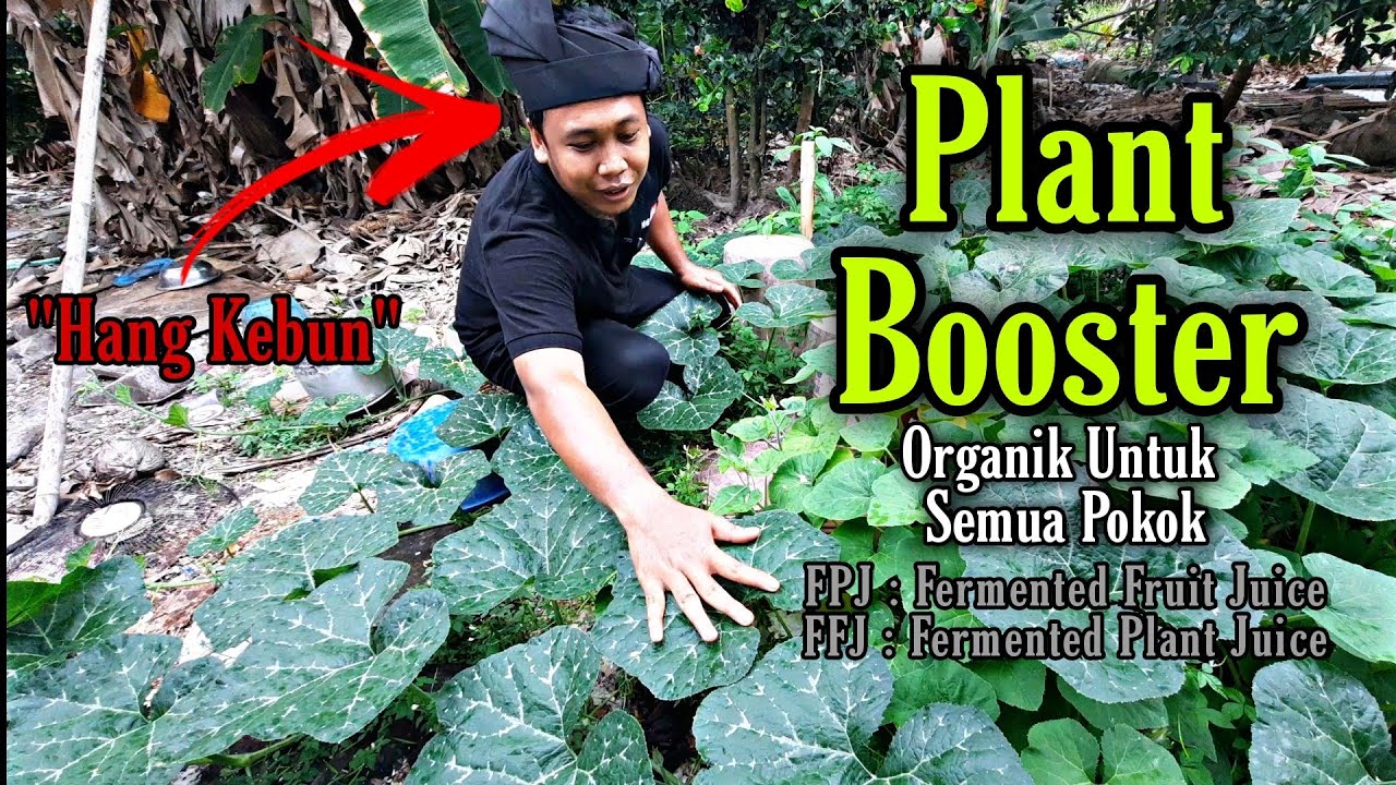 Baja PALING MUDAH untuk Pokok tepi rumah | 