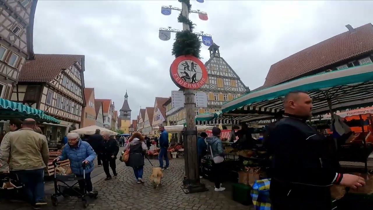 Take a walk through a typical German farmers market, Winnenden, Germany