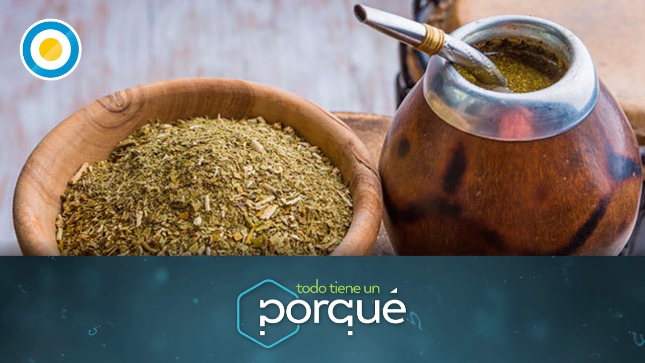 ¿Por qué tenemos el hábito de tomar mate? (4 de 4) - Todo tiene un porqué