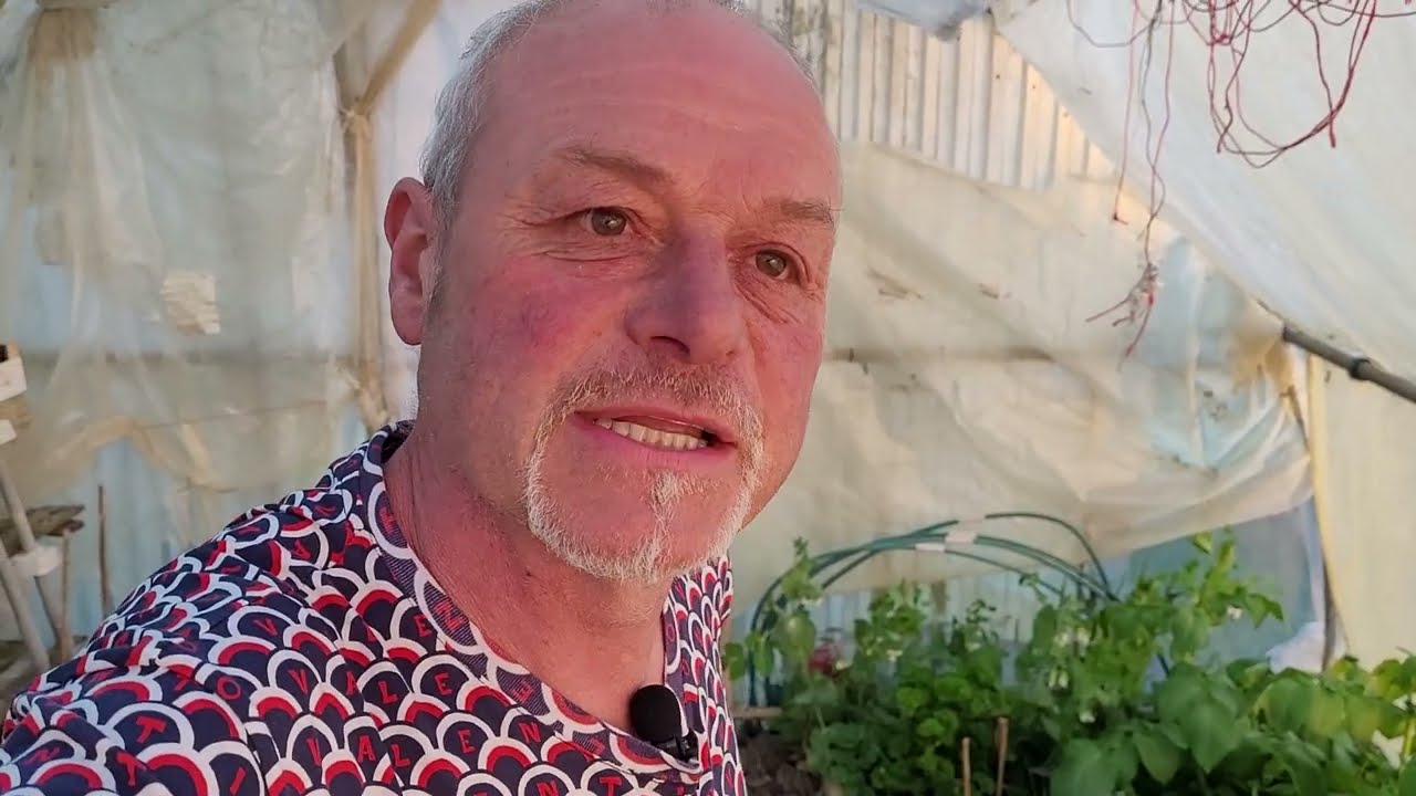 Philippe et ces pieds de tomates au fumier de cheval !