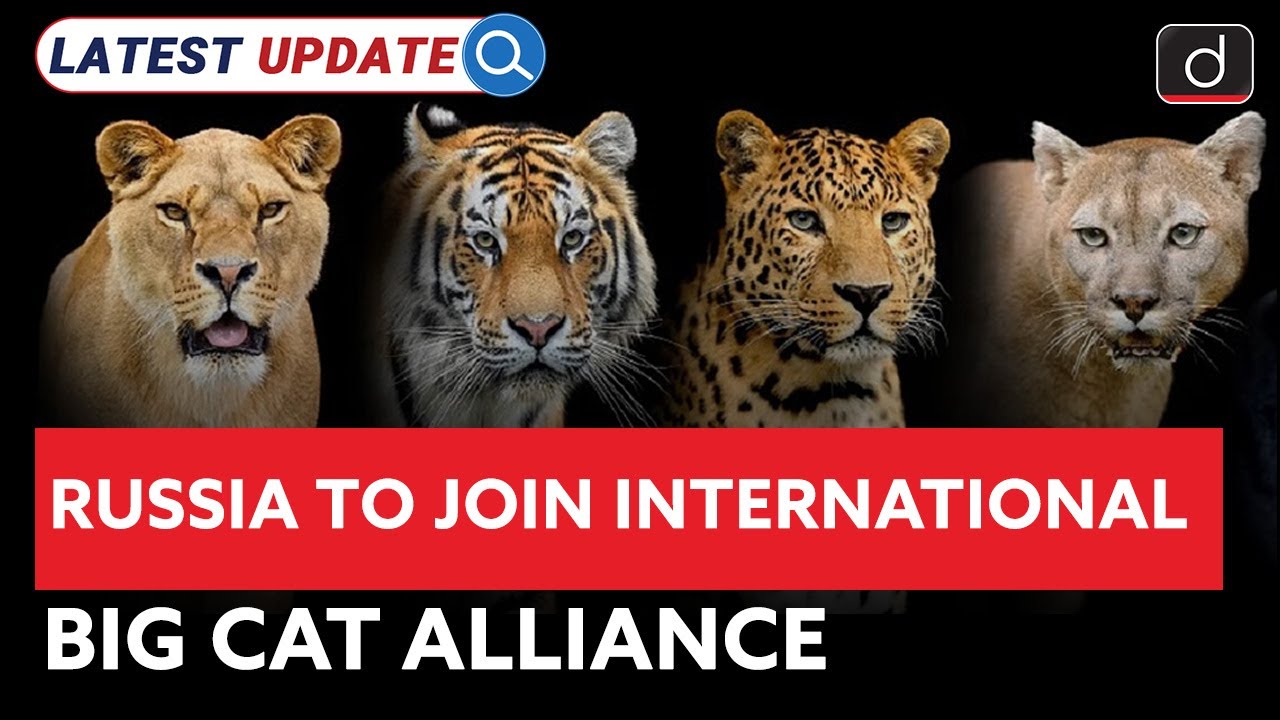 International Big Cat Alliance | Big Cats | Latest Update | Drishti IAS English