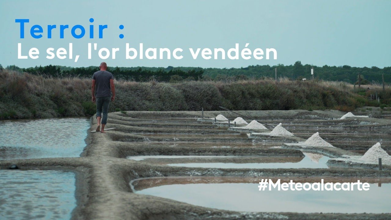 Terroir : le sel, l'or blanc vendéen